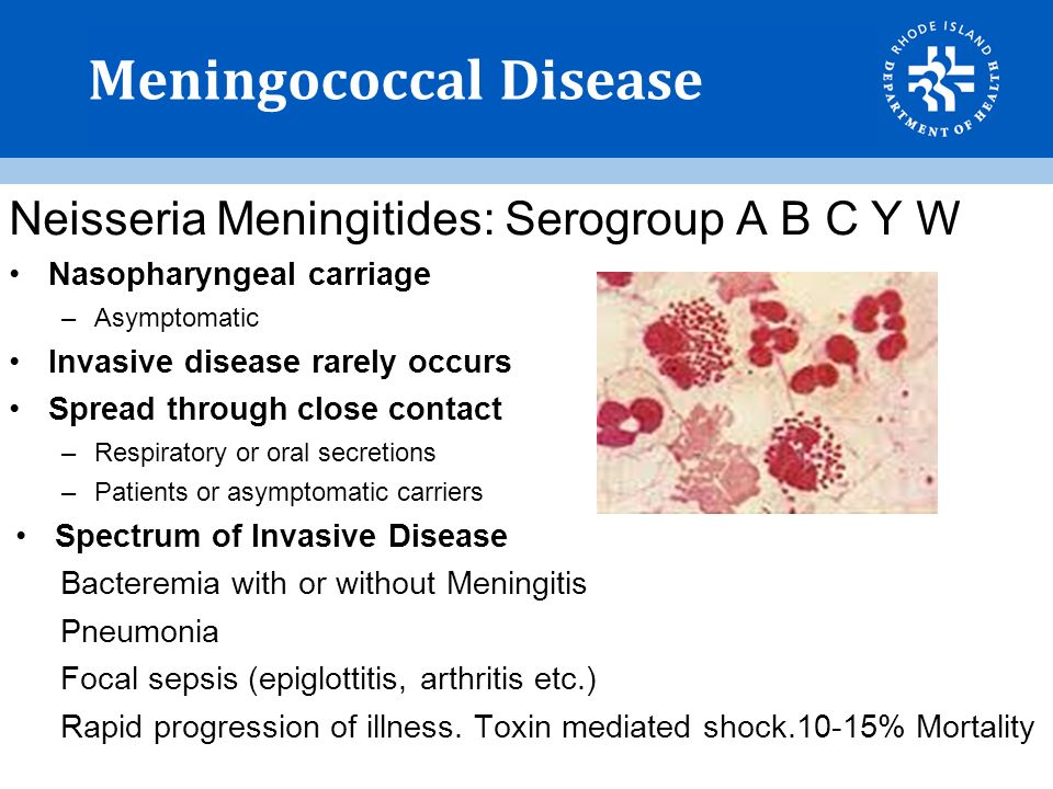 Neisseria meningitidis -- Meningitis